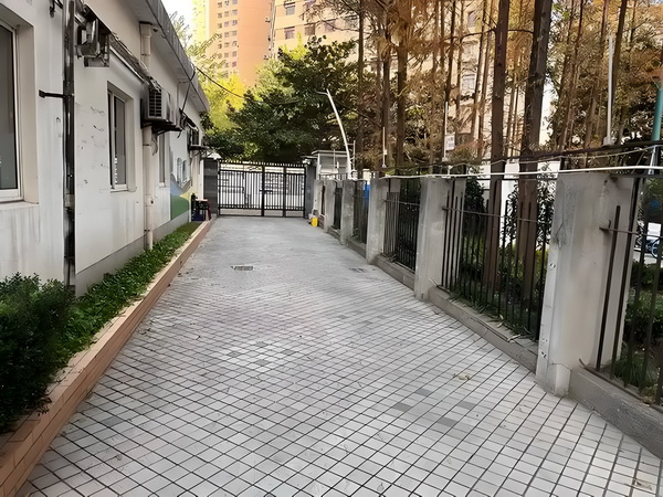始源之树